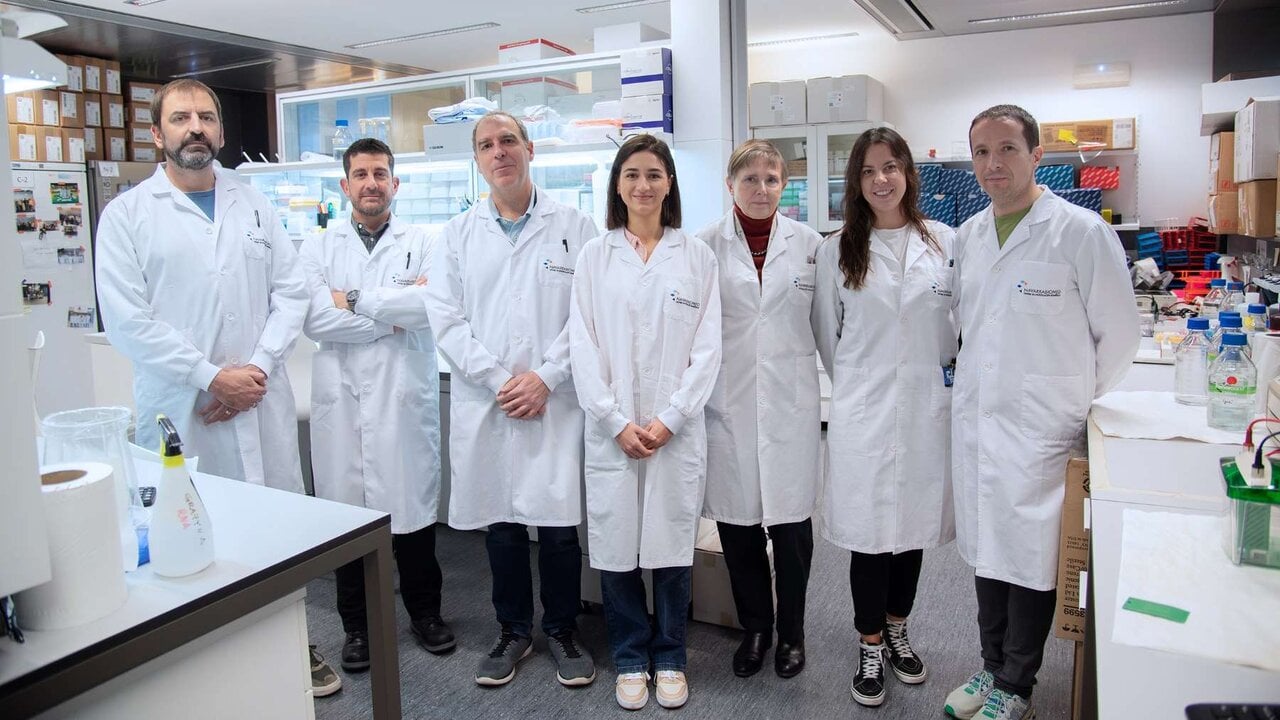 Científicos de Navarra dan con una pista para mejorar los tratamientos de inmunoterapia en pacientes con cáncer
