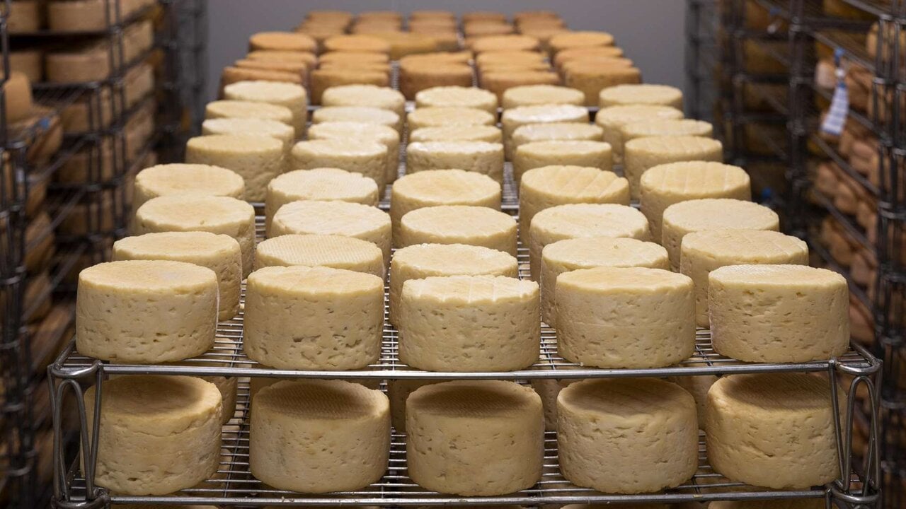 Alerta en Navarra: uno de sus quesos más populares menguará la producción por estas amenazas