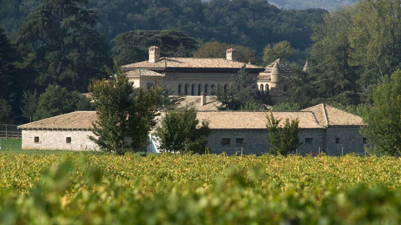 El plan de una bodega navarra para el Día de la Madre: apuesta por vino, arte y experiencia