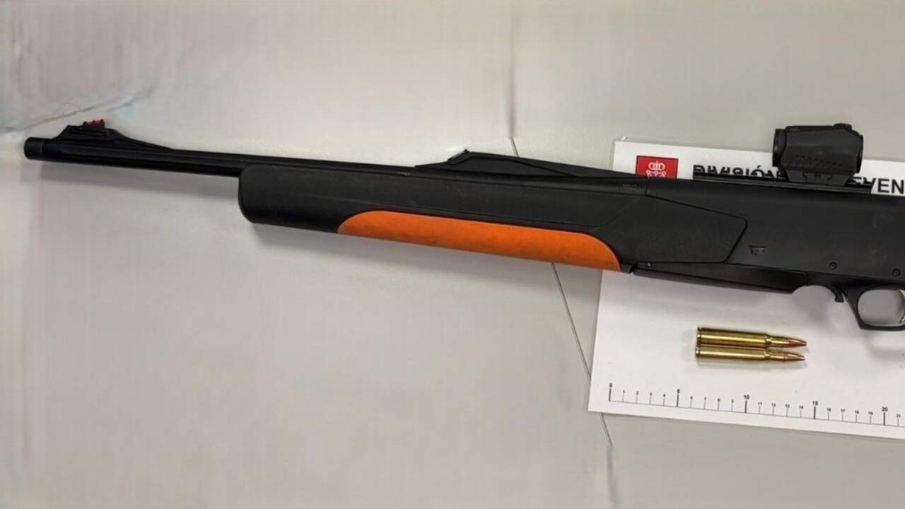 Un control de la Policía Foral en una zona rural de Navarra acaba con un rifle intervenido y denuncias por caza furtiva