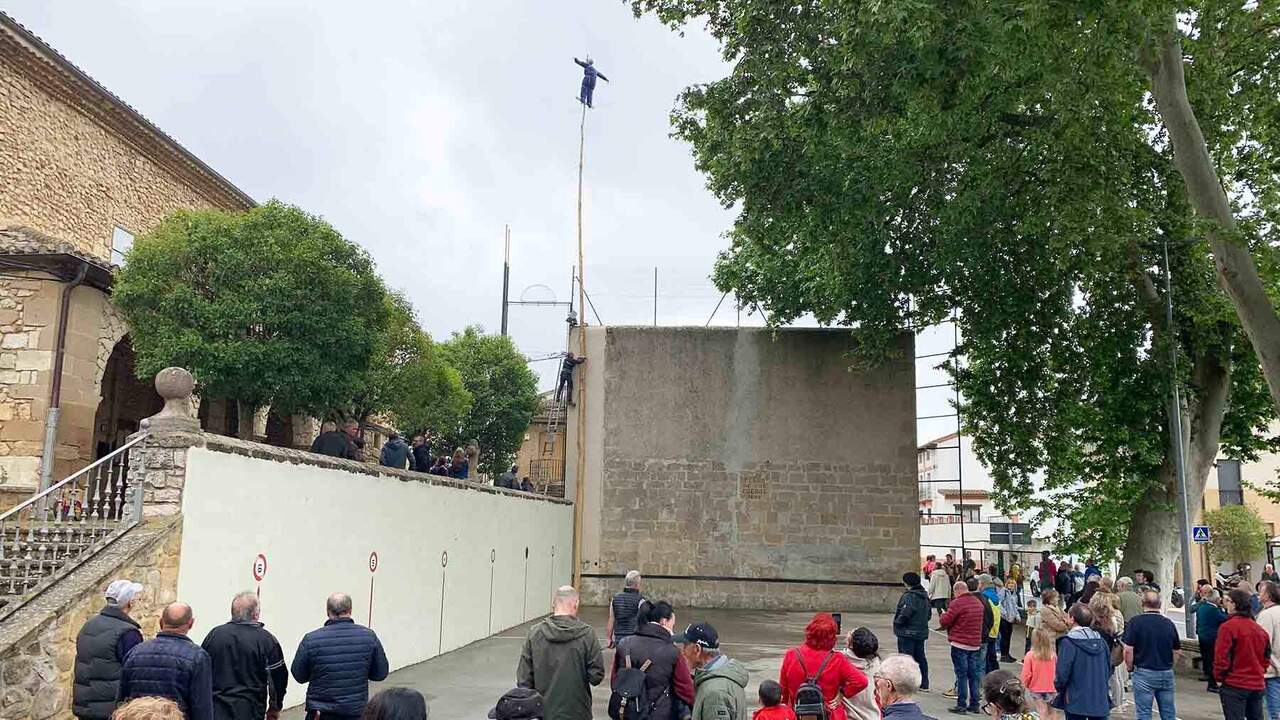 El 'mayo' está colgado en lo alto del chopo en el frontón de Murieta. Navarra.com