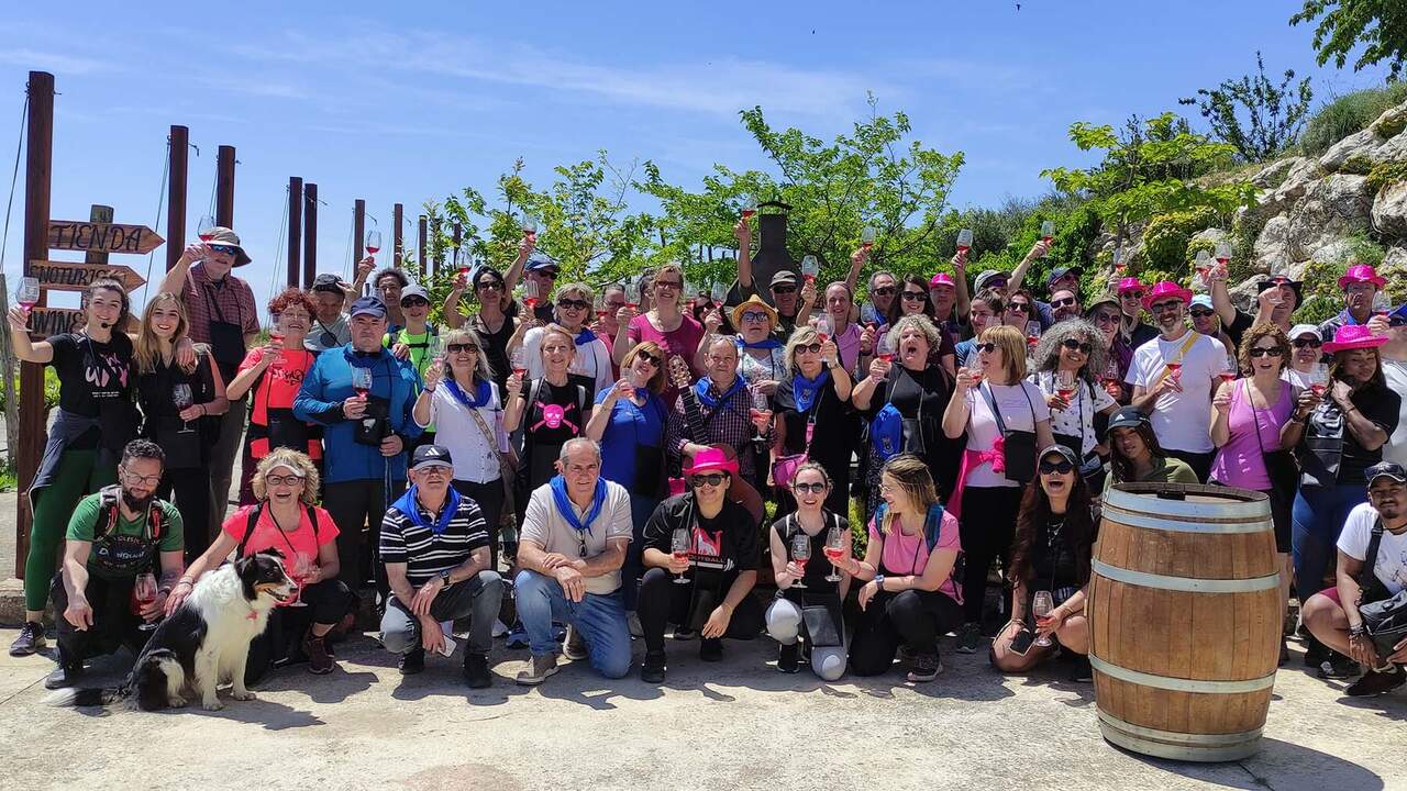 El pueblo de Navarra que celebra el vino rosado con una ruta entre viñedos, bodegas y una cripta románica