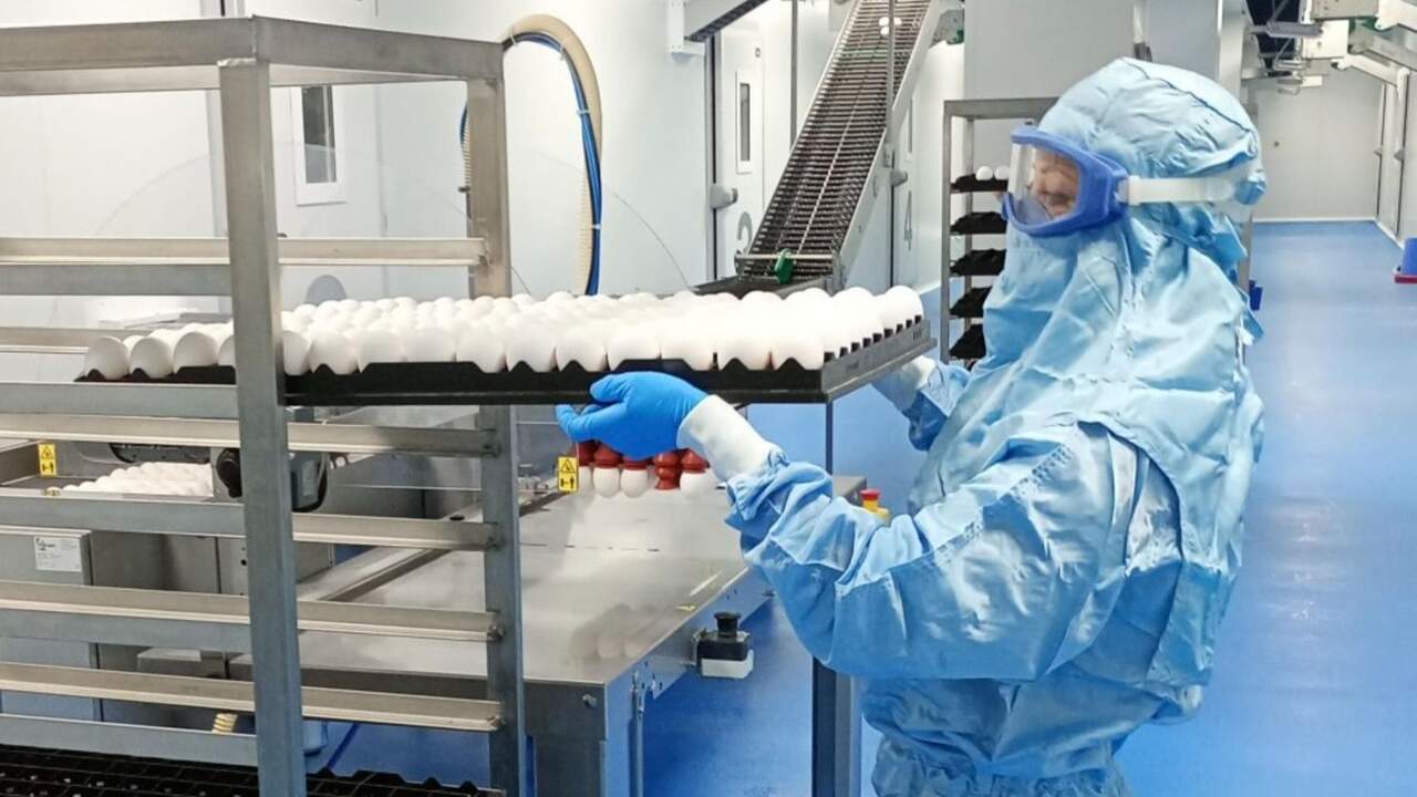 La empresa que desde un pueblo de Navarra entra en la cadena internacional para fabricar vacunas
