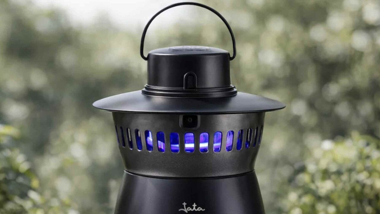 Un verano libre de picaduras: así es el antimosquitos que deja el jardín sin insectos