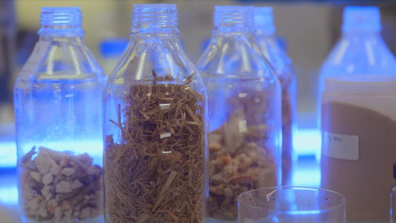 El proyecto navarro que busca fabricar piezas de coche con materiales que vienen de la industria alimentaria