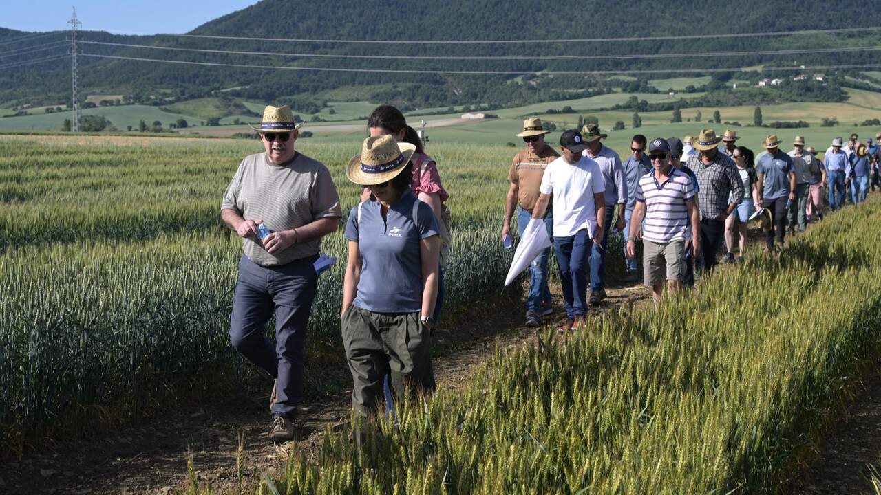 Cerca de 200 agricultores conocen en Navarra los ensayos que buscan ahorrar agua y fertilizantes