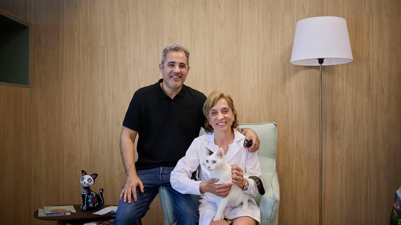 El matrimonio argentino que abre en Pamplona una veterinaria solo para gatos: 