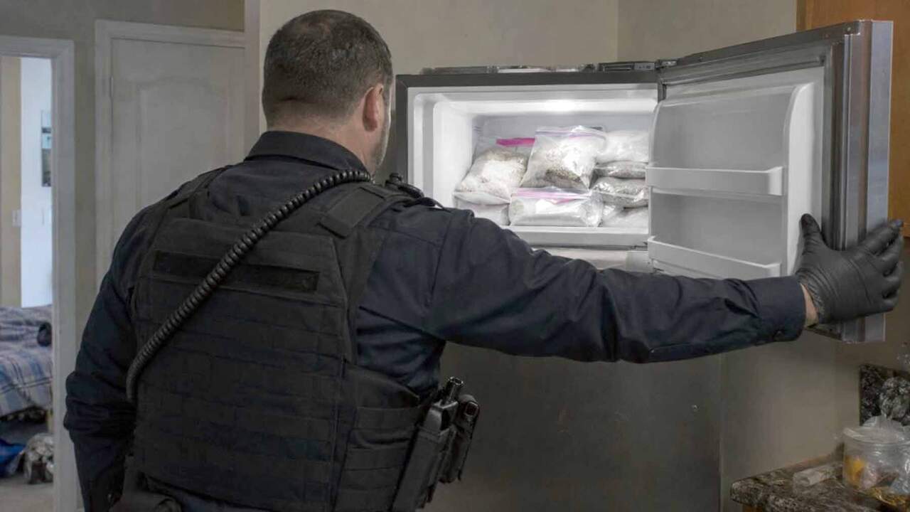 Una red de droga en pueblos de Navarra escondía speed en un congelador y movía miles de euros en efectivo