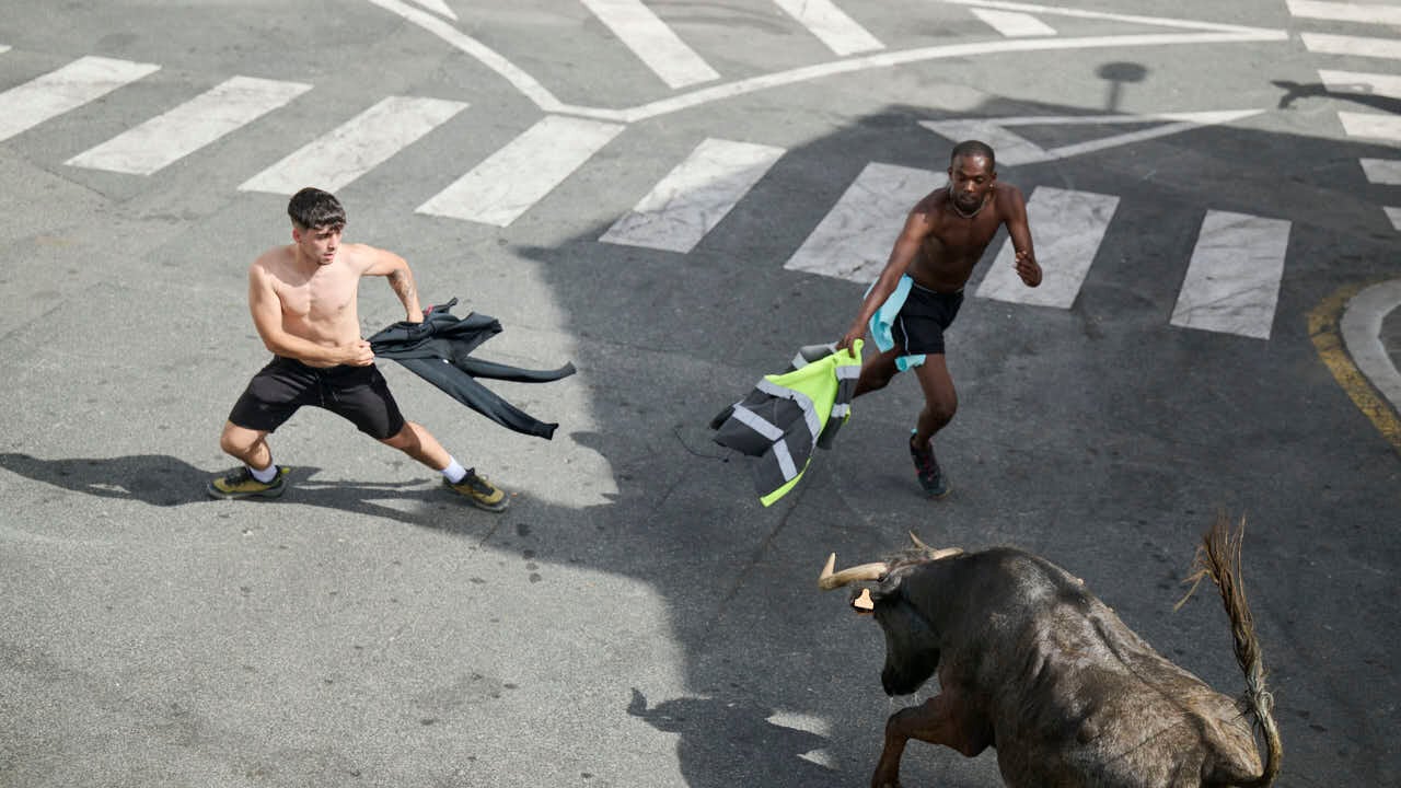 Suelta de vacas por las calles en fiestas de Mutilva 2026. PABLO LASAOSA