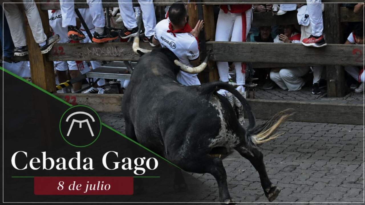 Encierro de San Fermín del 8 de julio: los toros de Cebada Gago regresan a Pamplona tras sembrar el pánico el año pasado