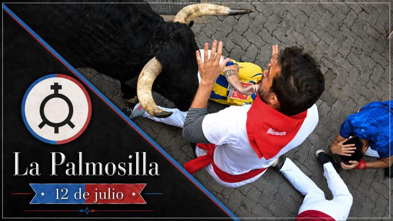 Encierro de San Fermín del 12 de julio: los toros La Palmosilla, protagonistas del encierro más sangriento del año pasado