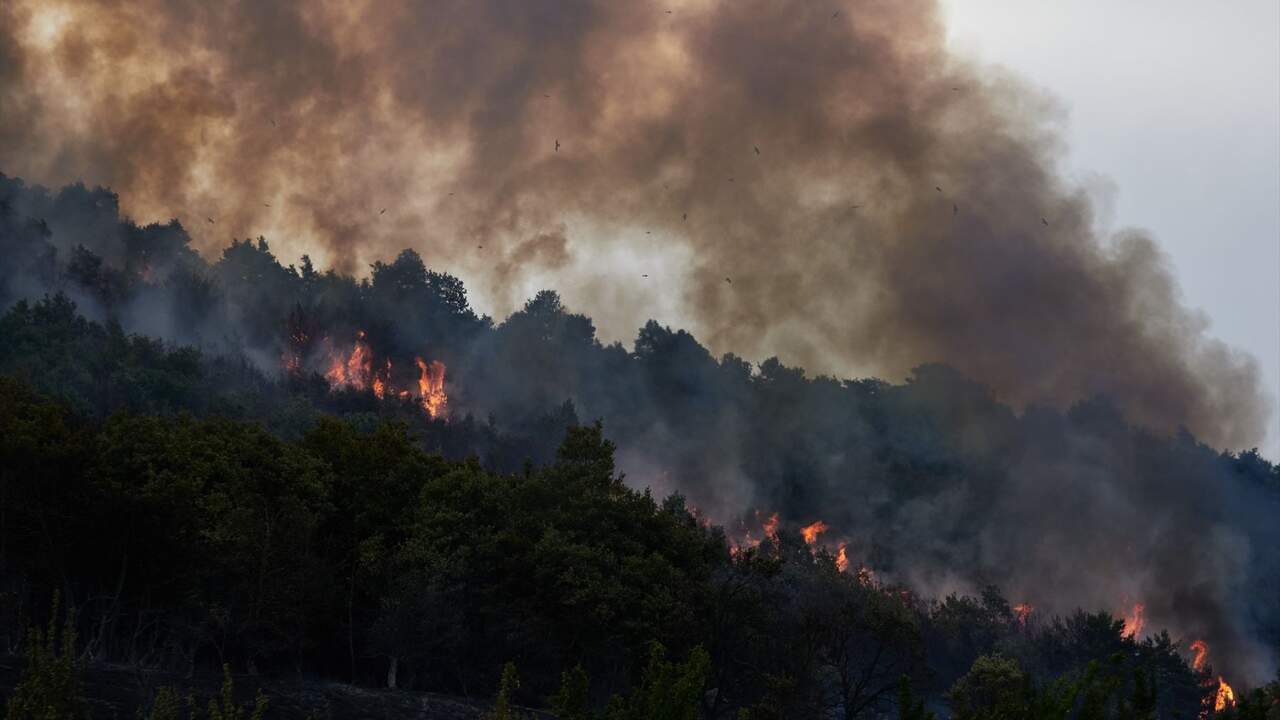 Agroseguro señala a los productores navarros que no hay urgencia para comunicar los daños del incendio