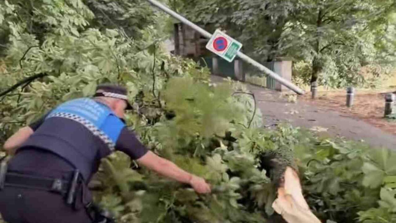 Captura del v&iacute;deo de Polic&iacute;a Municipal de Pamplona retirando un &aacute;rbol derribado por la tormenta.
