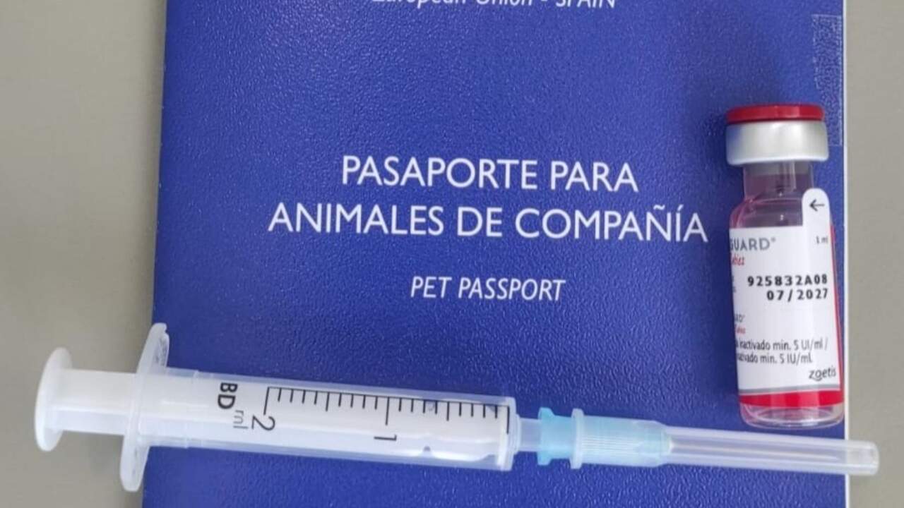Investigan en Pamplona a dos clínicas veterinarias por prácticas que podrían poner en riesgo a mascotas