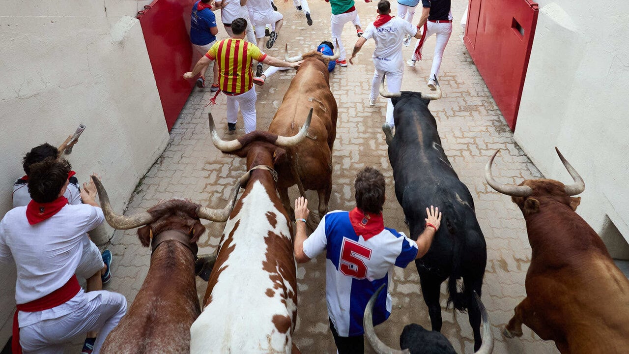 Cuarto encierro de San Ferm&iacute;n 2026 con toros de la ganader&iacute;a de &Aacute;lvaro N&uacute;&ntilde;ez en el tramo del callej&oacute;n y entrada a la plaza. I&Ntilde;IGO ALZUGARAY