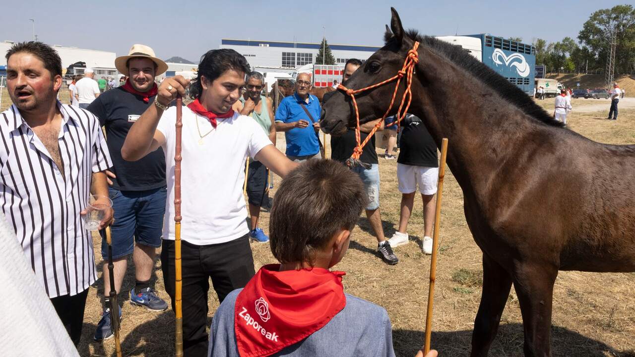 Feria del ganado equino de San Ferm&iacute;n. AYUNTAMIENTO DE PAMPLONA