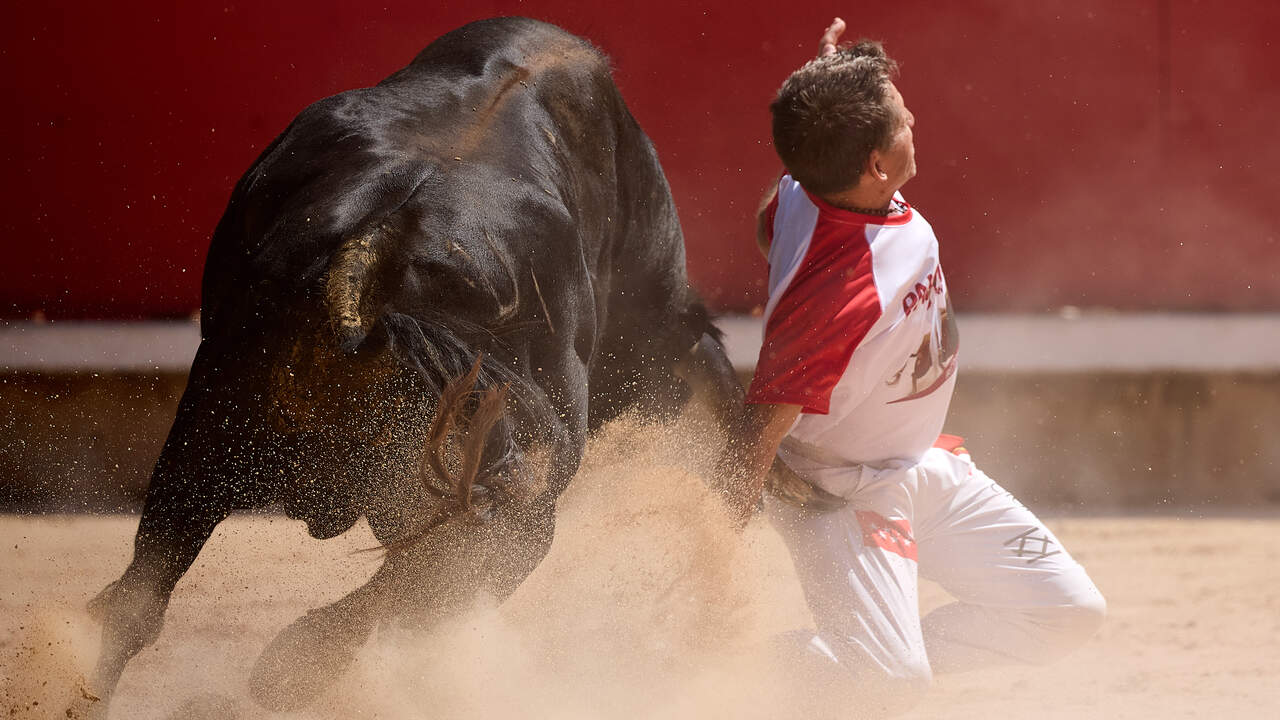 Concurso Nacional de Recortadores en la Plaza de Toros de Pamplona durante las fiestas de San Ferm&iacute;n 2026. I&Ntilde;IGO ALZUGARAY