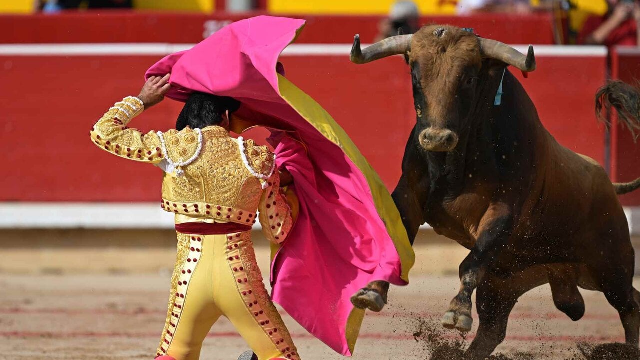 DIRECTO | Sigue desde Pamplona la corrida de San Fermín con toros de La Palmosilla para Fortes, Fernando Adrián y Samuel Navalón