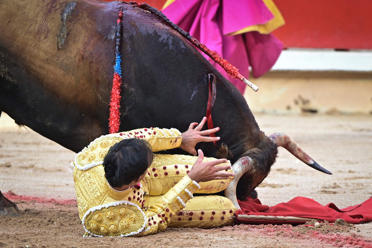 El torero Jim&eacute;nez Fortes pierde el equilibrio y se cae delante de la cara del toro durante la lidia a su segundo de la tarde en la octava de abono de la Feria del Toro de los Sanfermines 2026 con toros de la ganader&iacute;a gaditana de La Palmosilla y en la que comparte cartel con los diestros Fernando Adri&aacute;n y Samuel Naval&oacute;n. EFE/ Daniel Fern&aacute;ndez.