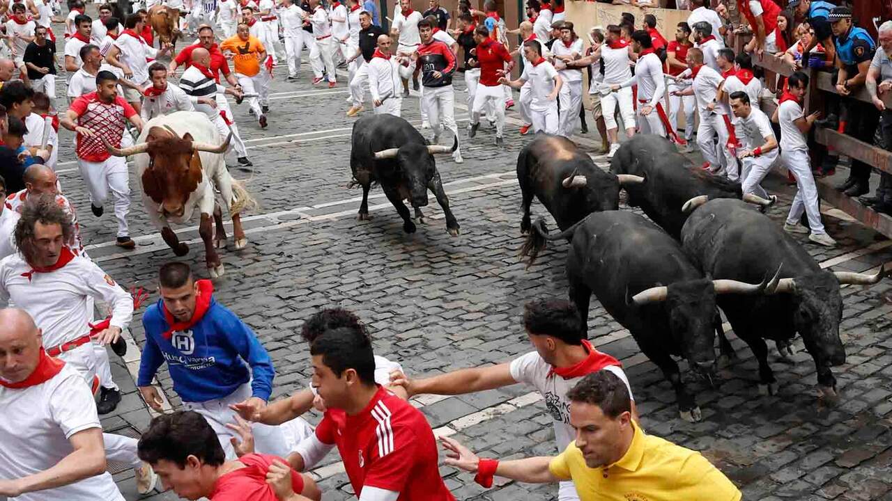 Los toros de la ganader&iacute;a sevillana de Miura entran en la curva de Mercaderes durante el s&eacute;ptimo encierro de los Sanfermines 2026, este lunes en Pamplona. EFE/Jes&uacute;s Diges