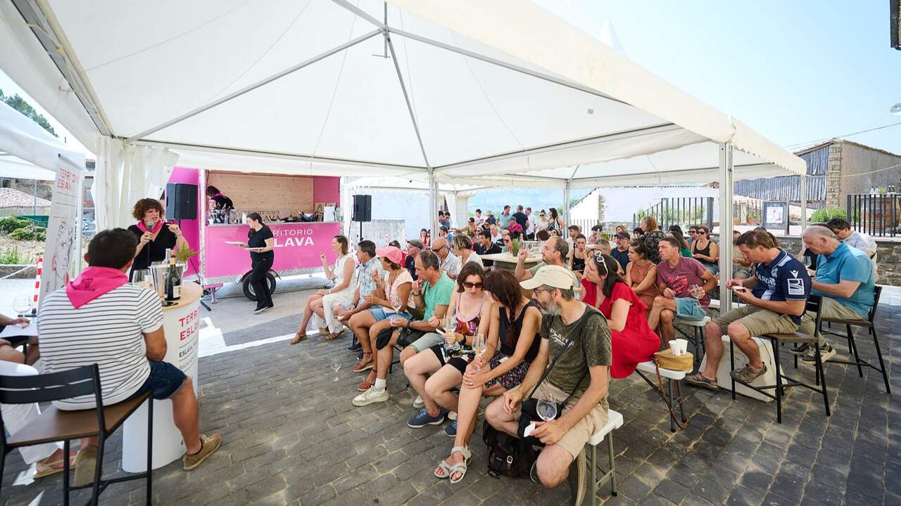 El plan con vino y arqueología en un pueblo de Navarra este viernes: cata maridada y autobús desde Pamplona