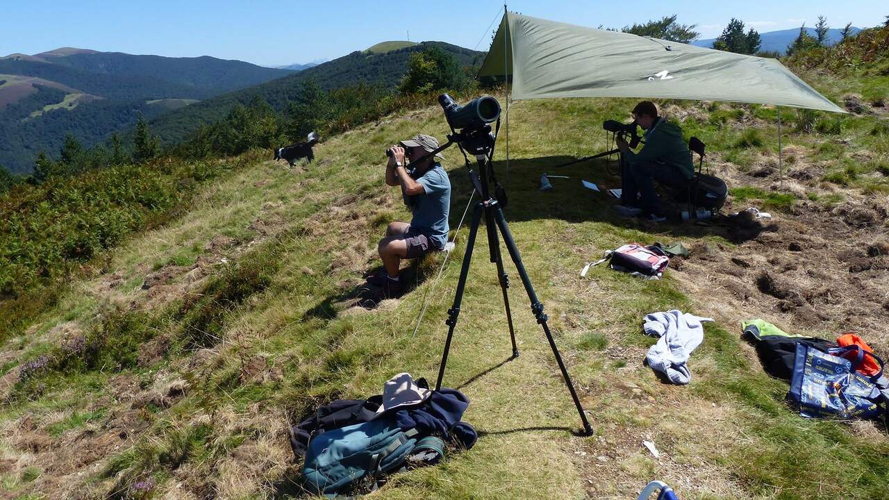 Dos ornitólogos estudiarán en Navarra cómo cambia el comportamiento de las aves durante el eclipse solar