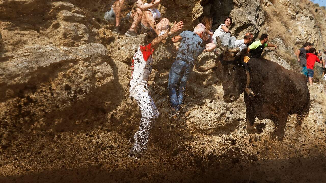 Primer encierro del Pil&oacute;n de Falces. EFE / JES&Uacute;S DIGES
