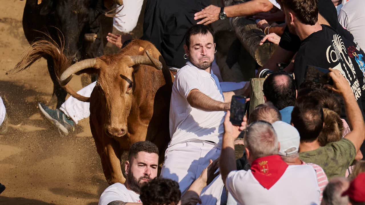 Un minuto de infarto en Falces: la velocidad endiablada de las vacas de Goñi desata el peligro en el segundo Pilón