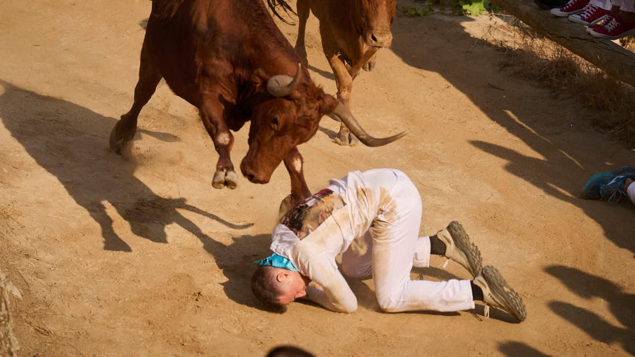 Las vacas de Alba Reta siembran el pánico en el Pilón de Falces y dejan cuatro heridos tras una carrera vertiginosa