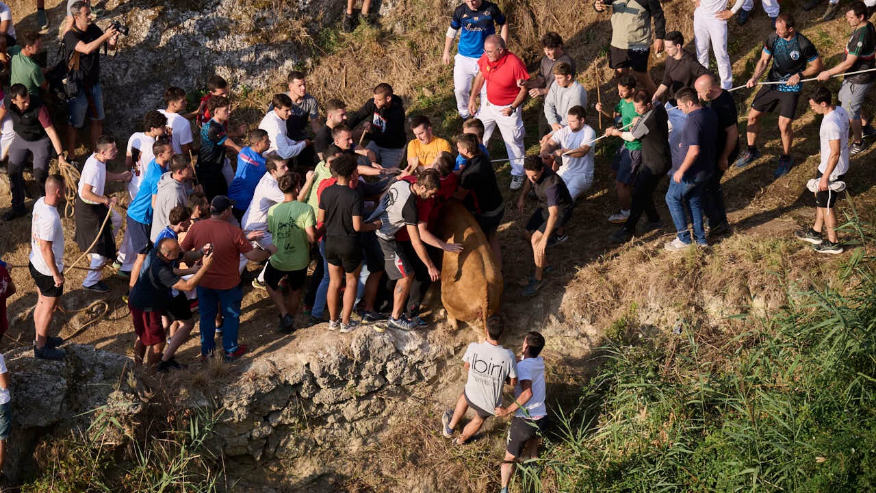 VÍDEO | Una vaca cae por el terraplén en el quinto encierro del Pilón de Falces