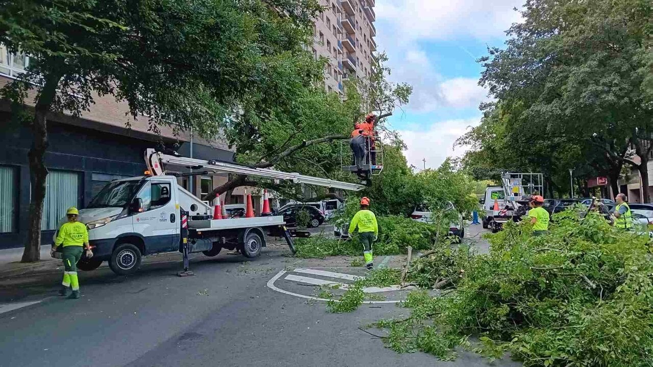 La tormenta en Pamplona aplastó dos coches tras caer un árbol y suspendió varios actos culturales