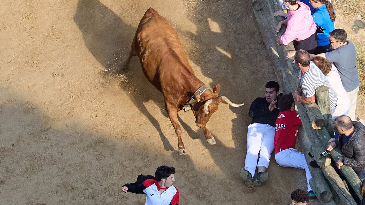 S&eacute;ptimo encierro del Pil&oacute;n de Falces 2026. I&Ntilde;IGO ALZUGARAY