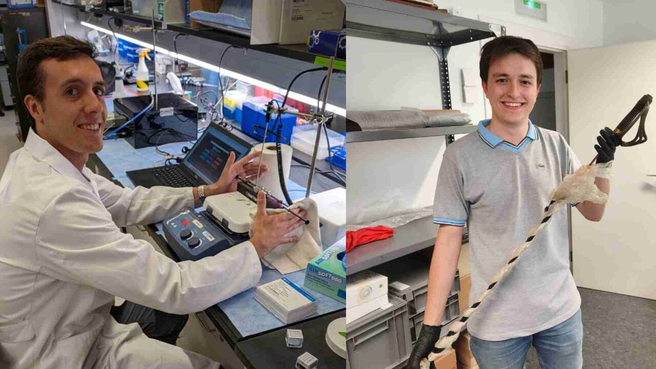 Dos estudiantes de Navarra y dos veranos opuestos: uno investiga el cáncer en EE. UU. y otro el carlismo en Estella