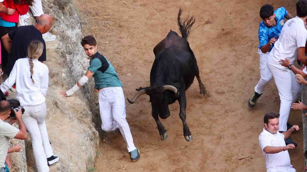 El octavo y último encierro del Pilón de Falces deja una tremenda cogida en la ladera