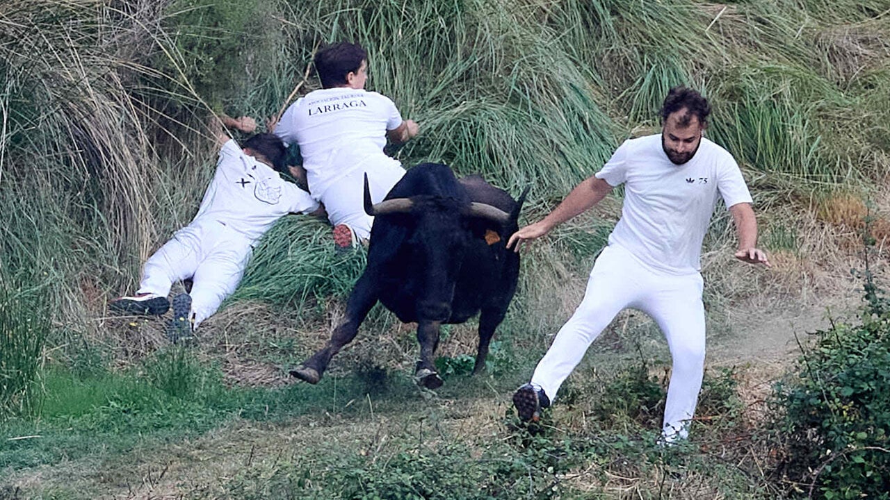 &Uacute;ltimo encierro del Pil&oacute;n de Falces 2026. I&Ntilde;IGO ALZUGARAY