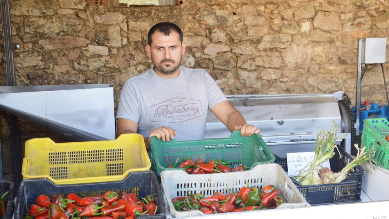 Javier, agricultor de Navarra, sobre la campaña del pimiento del piquillo: 
