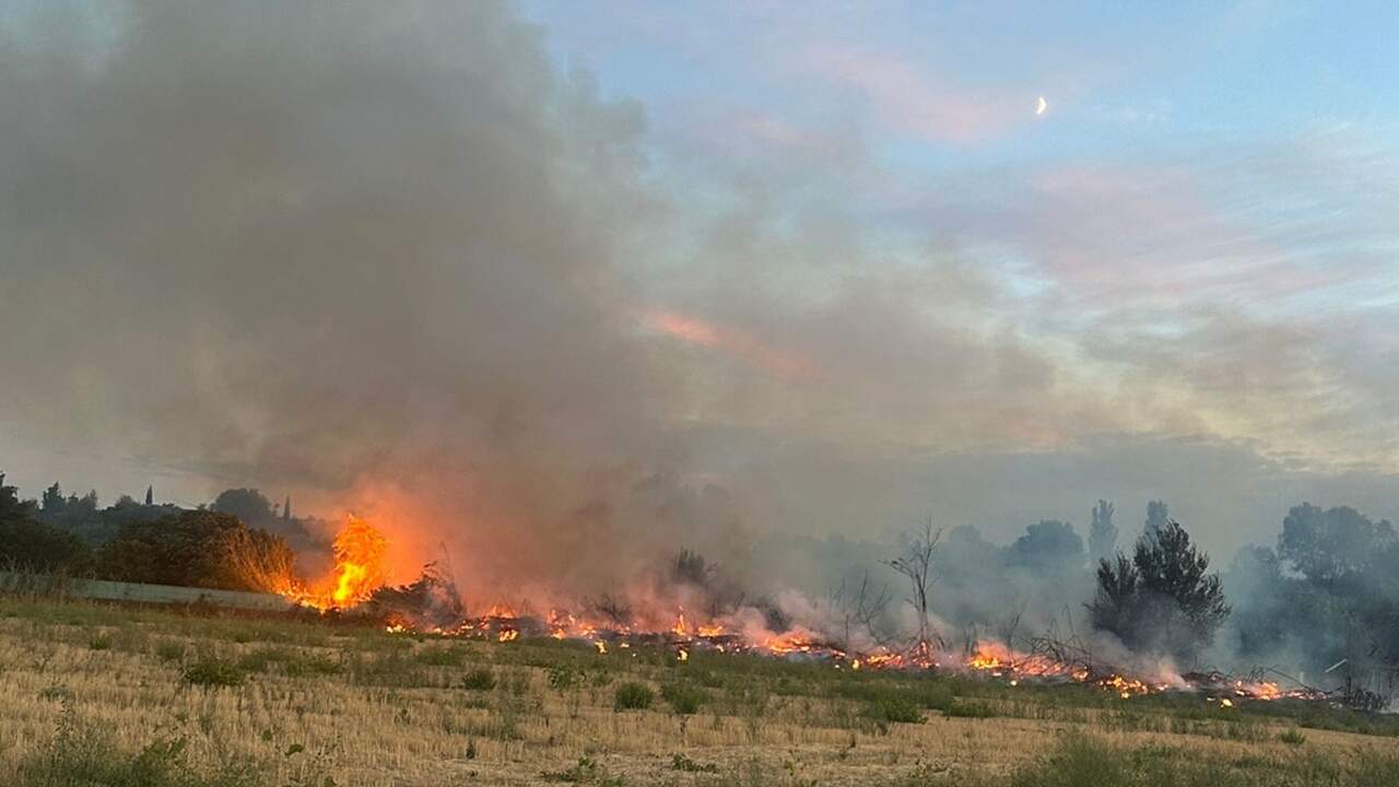 Los bomberos sofocan un importante incendio en un paraje de Tudela: el fuerte viento pudo avivar una quema de rastrojos