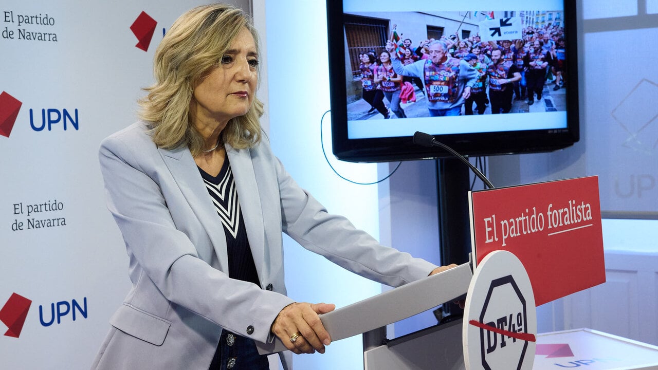 Ibarrola (UPN) advierte tras las detenciones por terrorismo proetarra en Irún: 