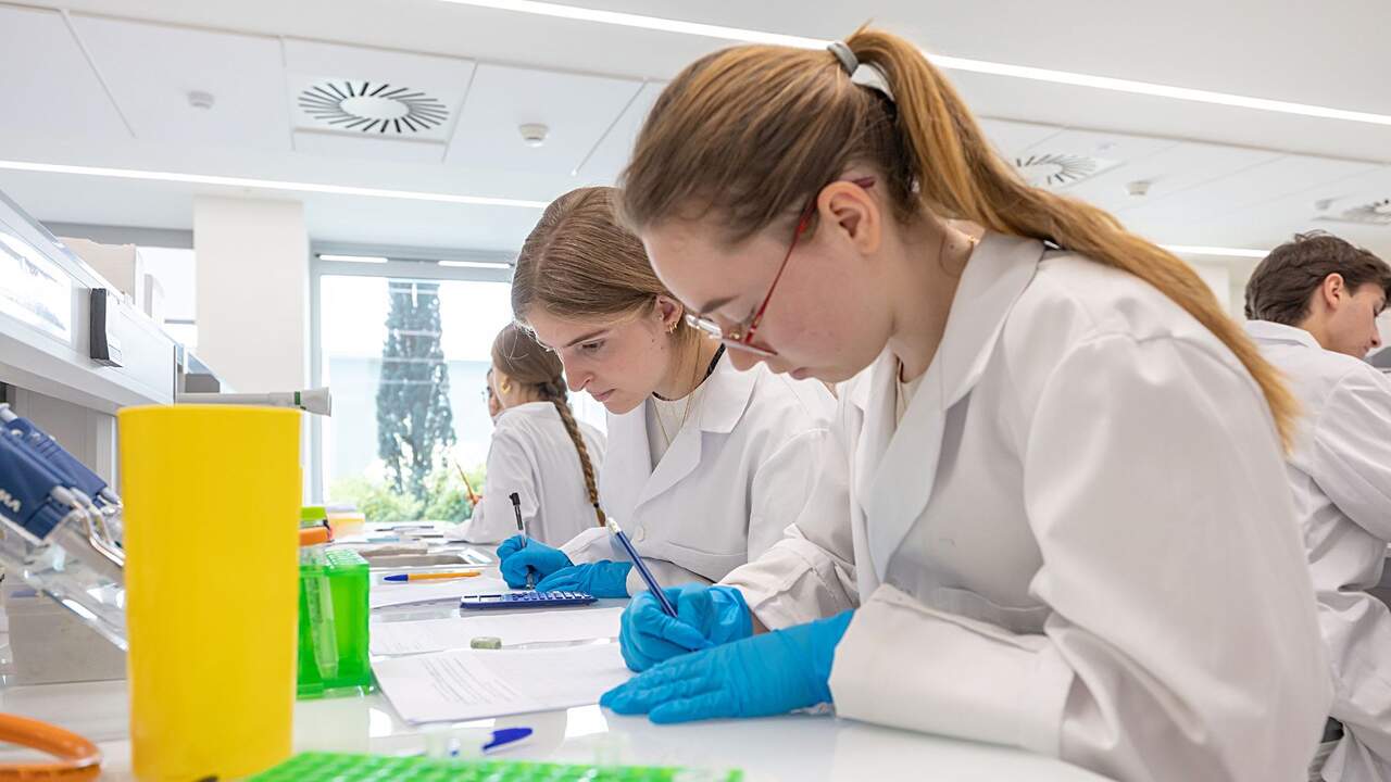 Un ranking mundial vuelve a situar a la Universidad de Navarra entre las mejores de España y líder entre las privadas