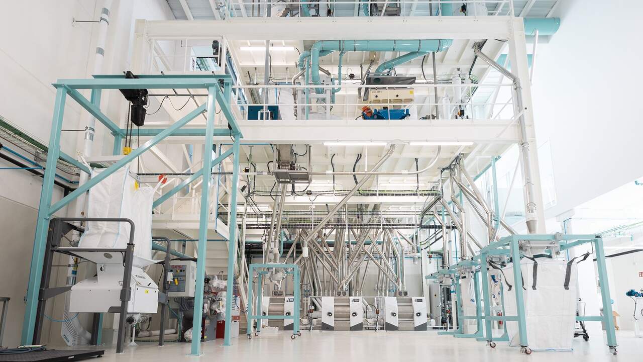 La alianza empresarial en Navarra que prueba una alternativa al huevo desarrollada con inteligencia artificial