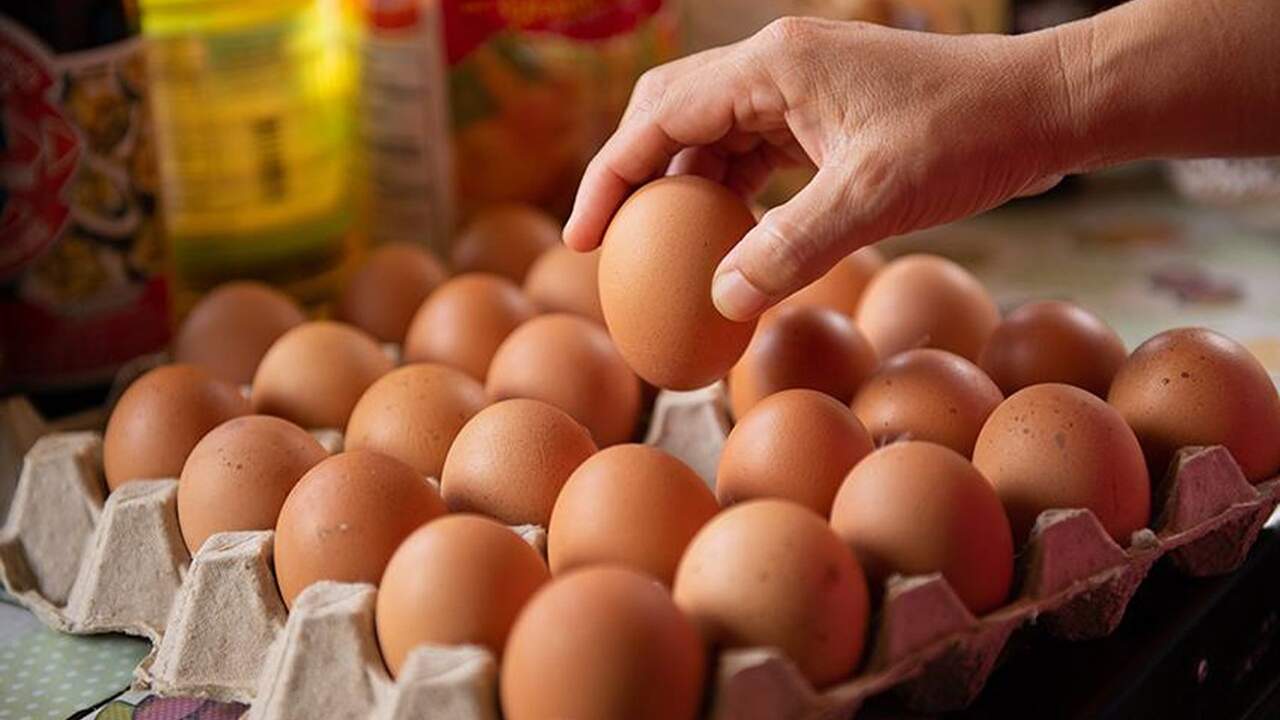 Los navarros se ponen finos de huevos: el dato que sitúa a Navarra en el podio nacional
