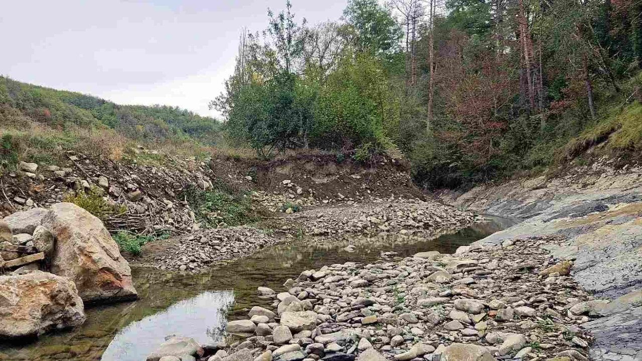 El renacer salvaje de dos ríos de Navarra: muros de madera viva y nuevos refugios para nutrias y visones